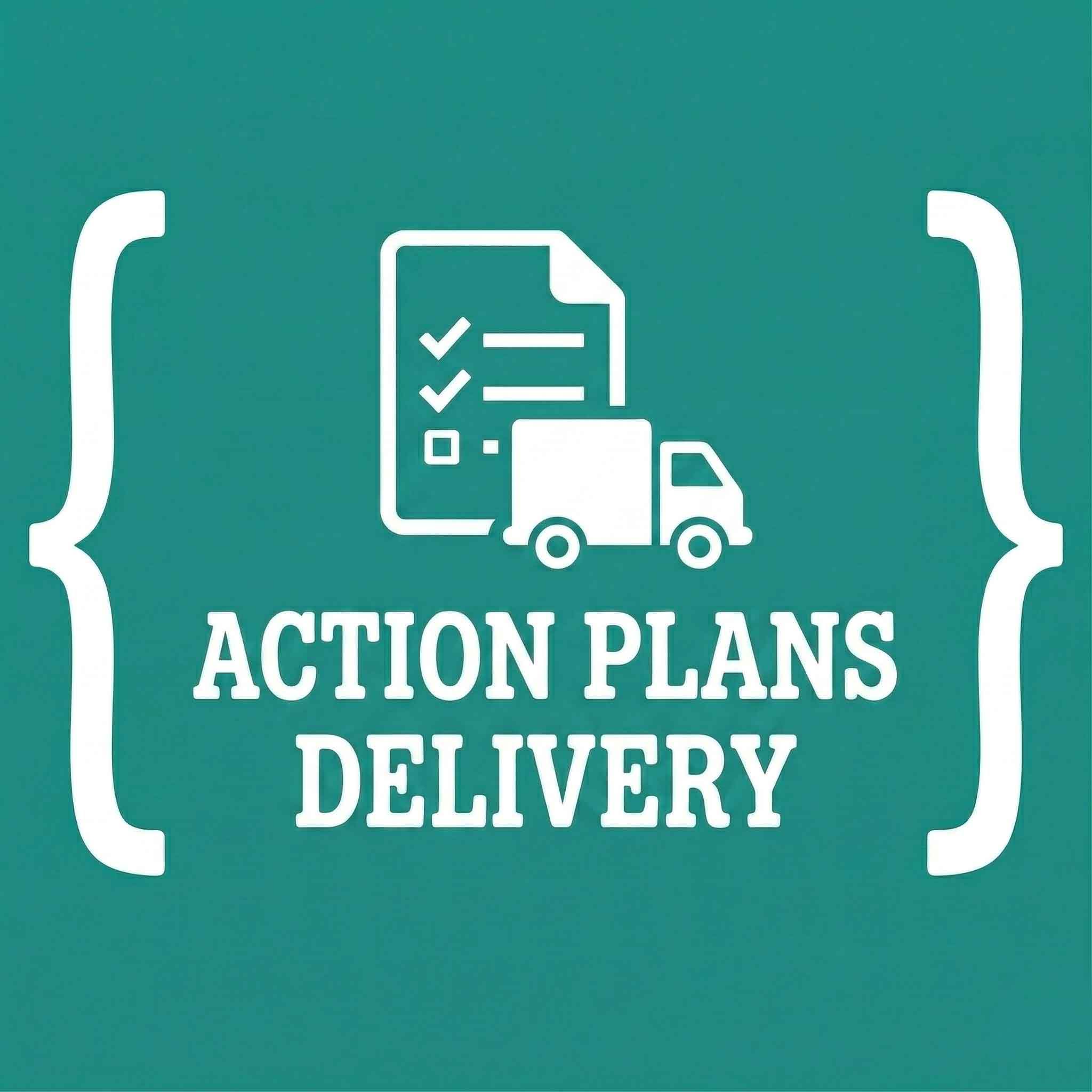 ACTION PLANS DELIVERY