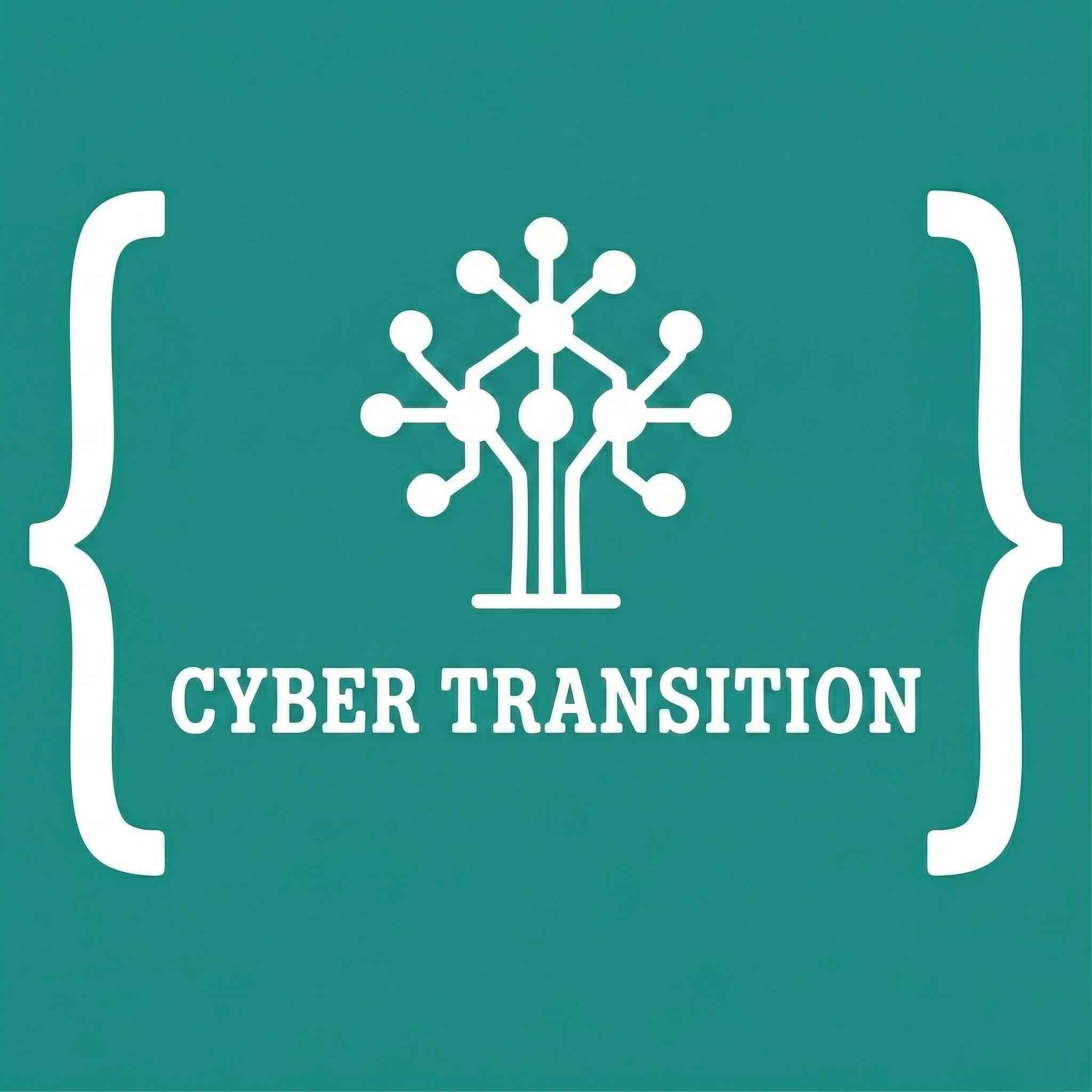 CYBER TRANSITION