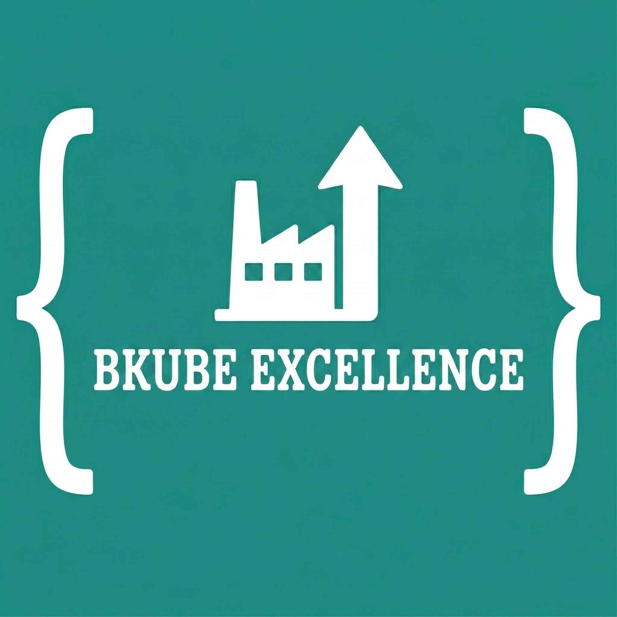 BKUBE EXCELLENCE