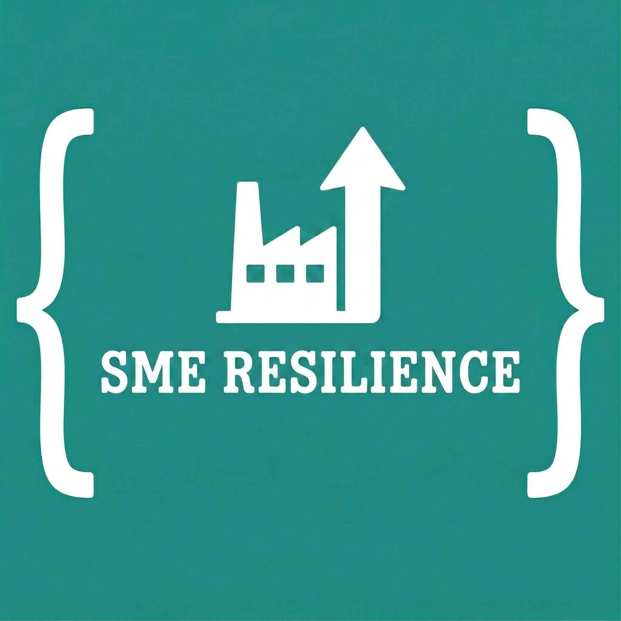 SME RESILIENCE